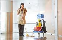 Carpet Cleaning Wellington image 6